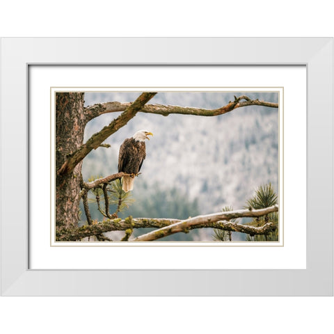 Trail White Modern Wood Framed Art Print with Double Matting by Broadway, Krista
