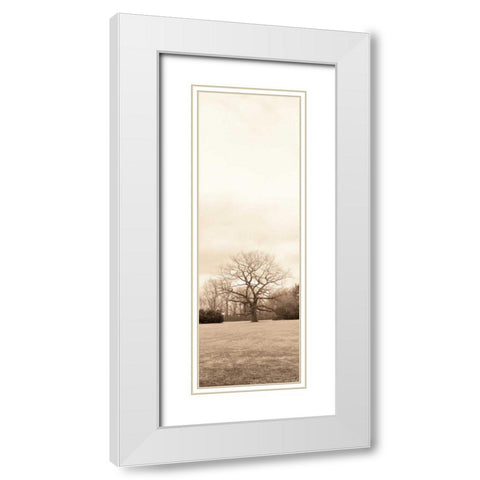 Chestnut Tree White Modern Wood Framed Art Print with Double Matting by Blaustein, Alan