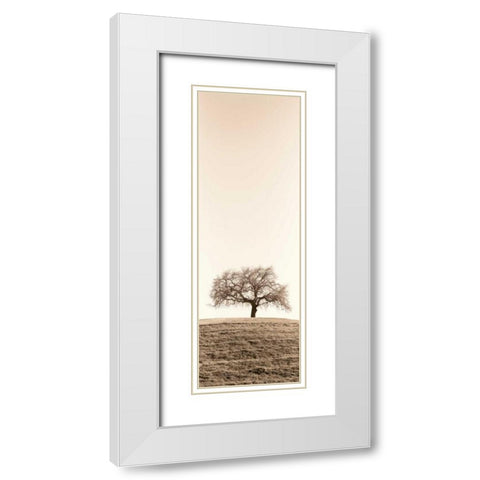 Lone Oak Tree White Modern Wood Framed Art Print with Double Matting by Blaustein, Alan