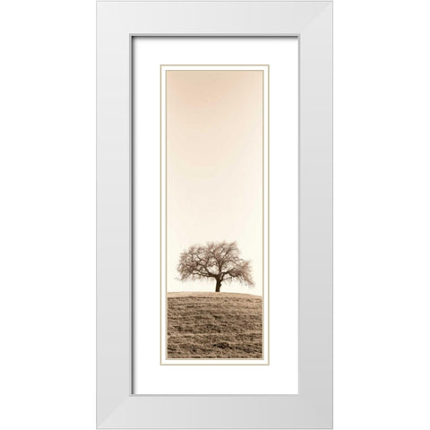 Lone Oak Tree White Modern Wood Framed Art Print with Double Matting by Blaustein, Alan