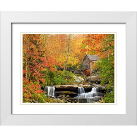 Autumn Splendor White Modern Wood Framed Art Print with Double Matting by Carmel, Elizabeth