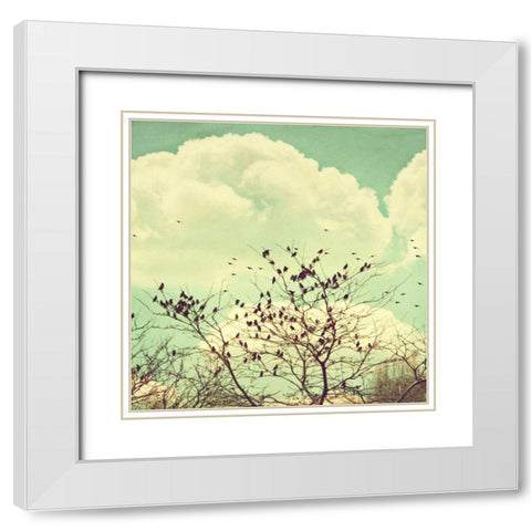 Birds of a Feather White Modern Wood Framed Art Print with Double Matting by Coomes, Sylvia