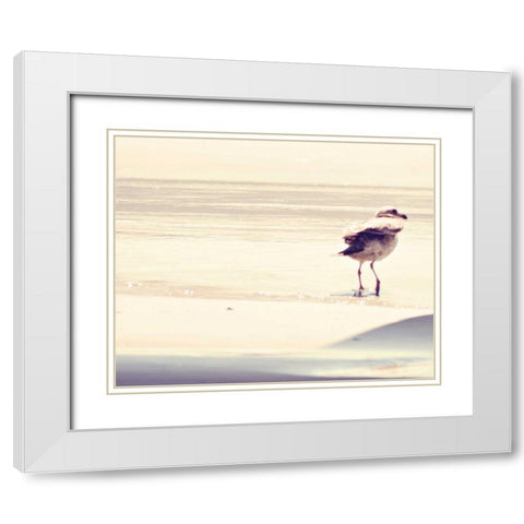 Bird at The Beach White Modern Wood Framed Art Print with Double Matting by Coomes, Sylvia
