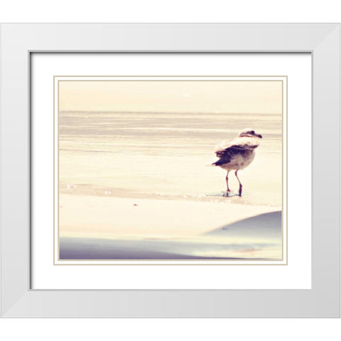 Bird at The Beach White Modern Wood Framed Art Print with Double Matting by Coomes, Sylvia