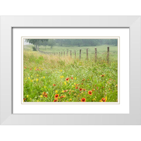 Flowers and Fence White Modern Wood Framed Art Print with Double Matting by Connolly, Karin