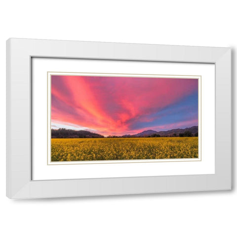 Spring Sunset Napa Valley White Modern Wood Framed Art Print with Double Matting by Carmel, Elizabeth