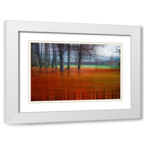 Abstract Autumn White Modern Wood Framed Art Print with Double Matting by Cmarits, Hannes