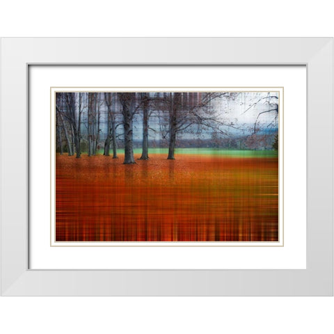 Abstract Autumn White Modern Wood Framed Art Print with Double Matting by Cmarits, Hannes