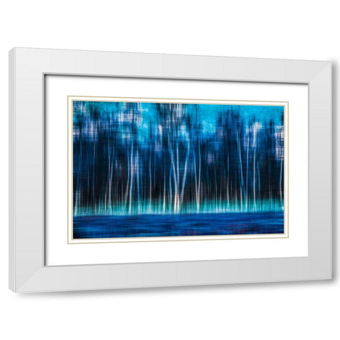 Mystic Forest White Modern Wood Framed Art Print with Double Matting by Cmarits, Hannes