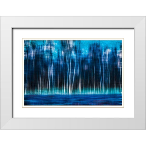Mystic Forest White Modern Wood Framed Art Print with Double Matting by Cmarits, Hannes
