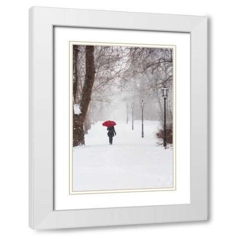 Winter Rose White Modern Wood Framed Art Print with Double Matting by Corso, Stefano
