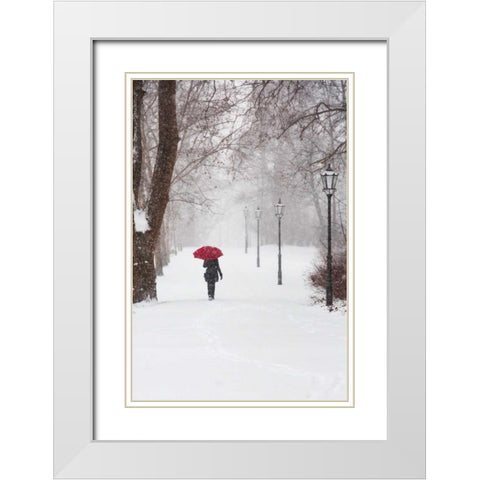 Winter Rose White Modern Wood Framed Art Print with Double Matting by Corso, Stefano