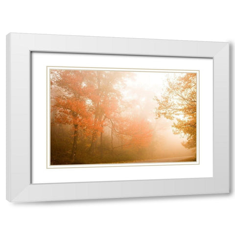 Beyond The Fog White Modern Wood Framed Art Print with Double Matting by Connolly, Karin