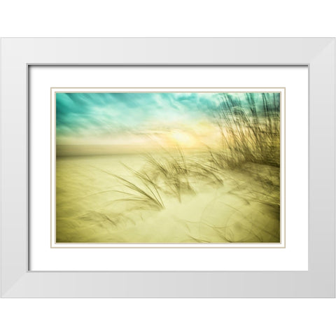 Delightful No. 1 White Modern Wood Framed Art Print with Double Matting by Connolly, Karin