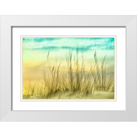 Delightful No. 2 White Modern Wood Framed Art Print with Double Matting by Connolly, Karin