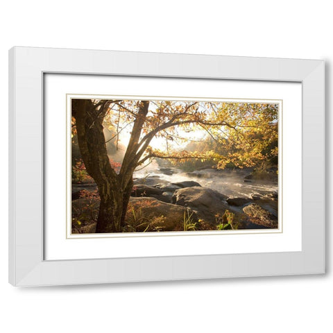 Georgia Fall White Modern Wood Framed Art Print with Double Matting by Connolly, Karin