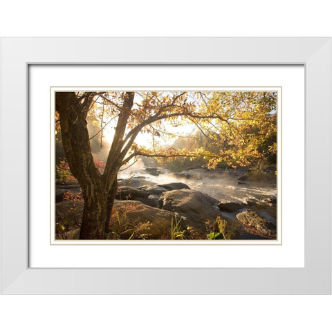 Georgia Fall White Modern Wood Framed Art Print with Double Matting by Connolly, Karin