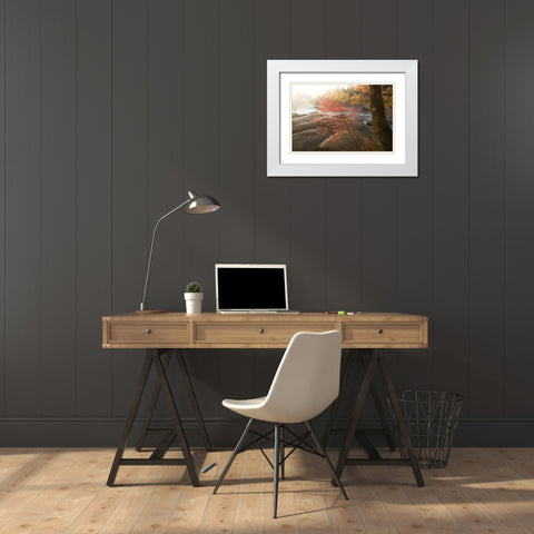 Little Red White Modern Wood Framed Art Print with Double Matting by Connolly, Karin