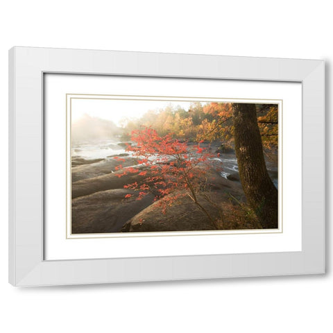 Little Red White Modern Wood Framed Art Print with Double Matting by Connolly, Karin