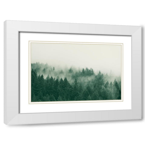 Emerald Forest No. 1 White Modern Wood Framed Art Print with Double Matting by Colligan, Lynann