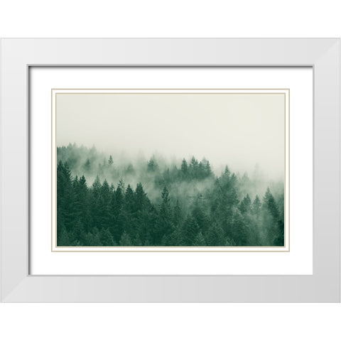 Emerald Forest No. 1 White Modern Wood Framed Art Print with Double Matting by Colligan, Lynann