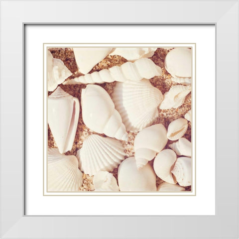 Beachcomber White Modern Wood Framed Art Print with Double Matting by Cochrane, Carolyn
