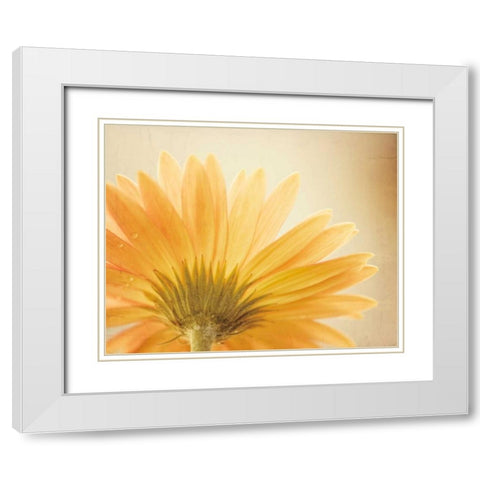 Butterscotch White Modern Wood Framed Art Print with Double Matting by Cochrane, Carolyn