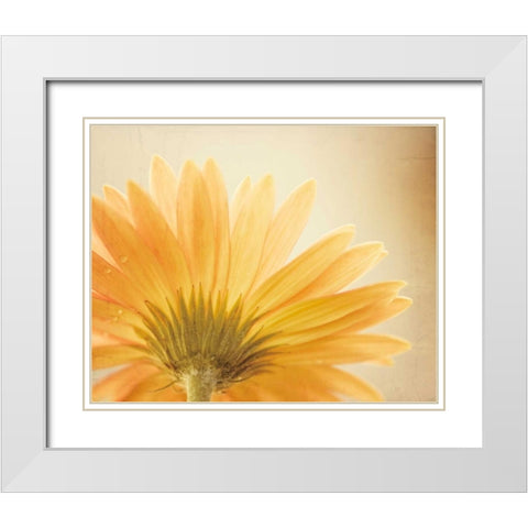 Butterscotch White Modern Wood Framed Art Print with Double Matting by Cochrane, Carolyn