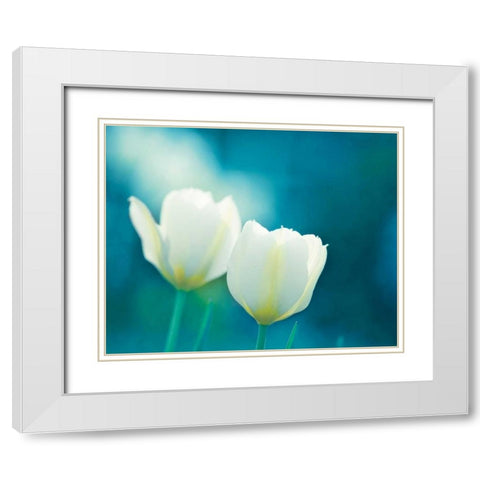 Charisma White Modern Wood Framed Art Print with Double Matting by Cochrane, Carolyn