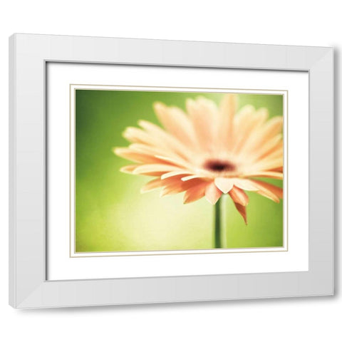 Joyful White Modern Wood Framed Art Print with Double Matting by Cochrane, Carolyn