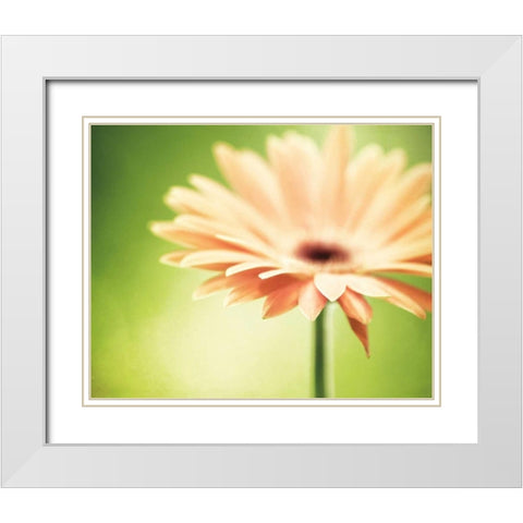 Joyful White Modern Wood Framed Art Print with Double Matting by Cochrane, Carolyn