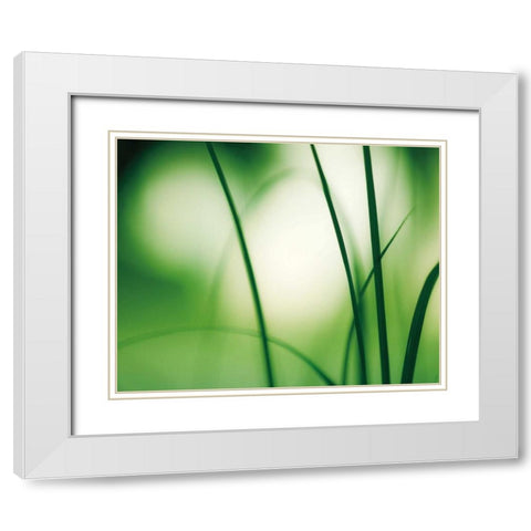Natural Flow White Modern Wood Framed Art Print with Double Matting by Cochrane, Carolyn