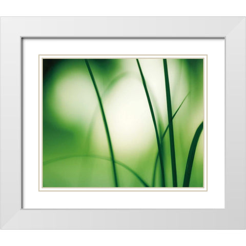 Natural Flow White Modern Wood Framed Art Print with Double Matting by Cochrane, Carolyn