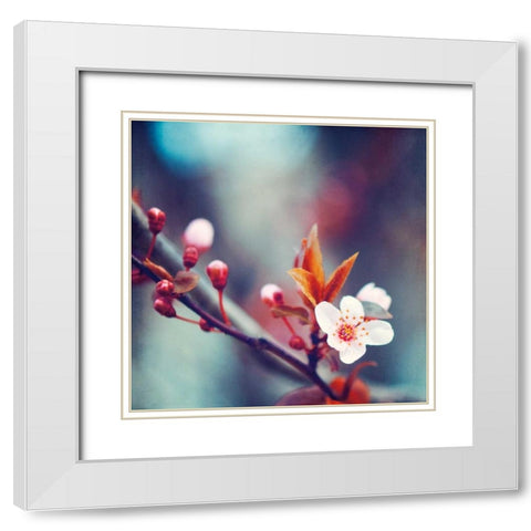 Natures Palette White Modern Wood Framed Art Print with Double Matting by Cochrane, Carolyn