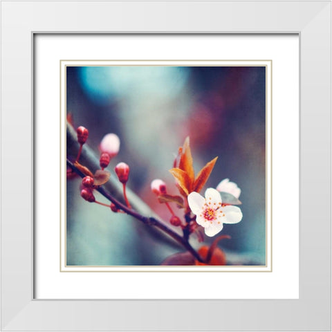 Natures Palette White Modern Wood Framed Art Print with Double Matting by Cochrane, Carolyn