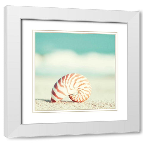 Nautilus White Modern Wood Framed Art Print with Double Matting by Cochrane, Carolyn