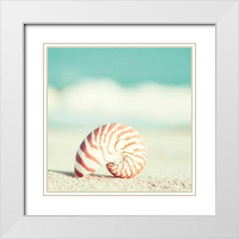 Nautilus White Modern Wood Framed Art Print with Double Matting by Cochrane, Carolyn