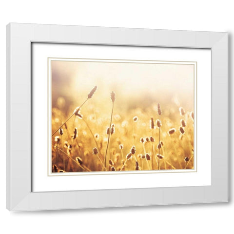 Nothing Gold Can Stay White Modern Wood Framed Art Print with Double Matting by Cochrane, Carolyn