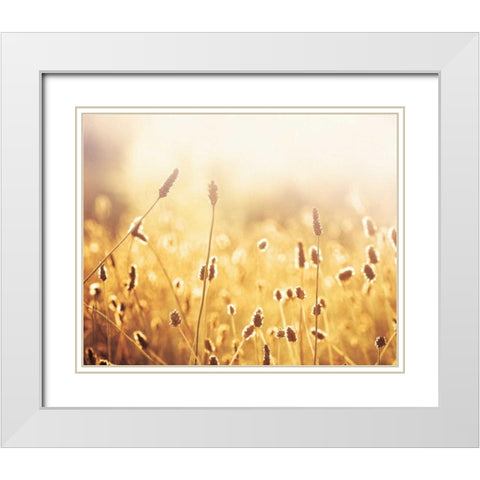 Nothing Gold Can Stay White Modern Wood Framed Art Print with Double Matting by Cochrane, Carolyn