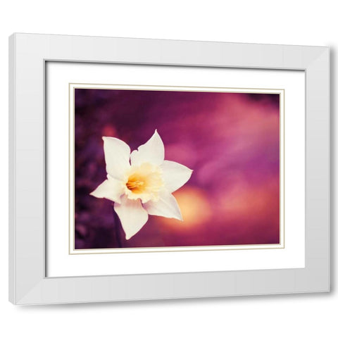 Outburst White Modern Wood Framed Art Print with Double Matting by Cochrane, Carolyn