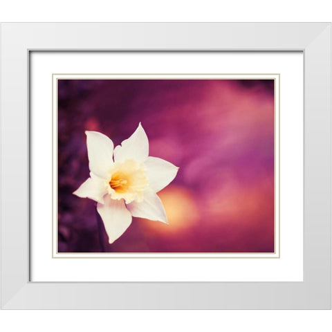 Outburst White Modern Wood Framed Art Print with Double Matting by Cochrane, Carolyn