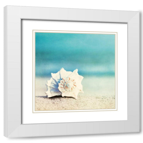 Paradise White Modern Wood Framed Art Print with Double Matting by Cochrane, Carolyn