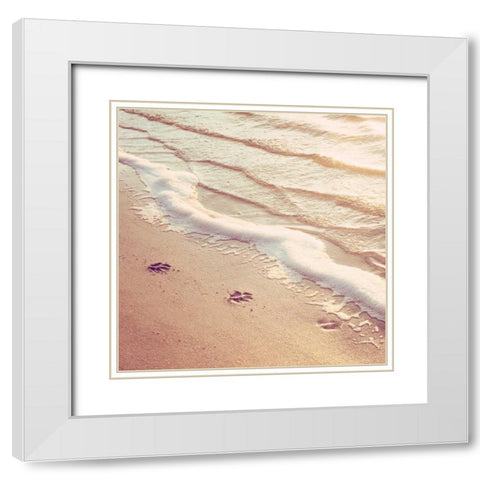 Paw Prints White Modern Wood Framed Art Print with Double Matting by Cochrane, Carolyn