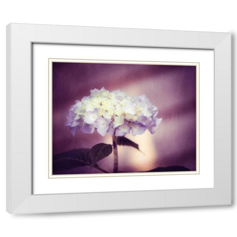 Regal White Modern Wood Framed Art Print with Double Matting by Cochrane, Carolyn