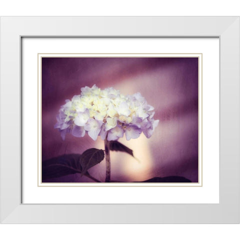 Regal White Modern Wood Framed Art Print with Double Matting by Cochrane, Carolyn