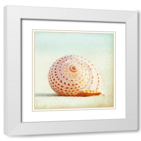 Seashell Voices White Modern Wood Framed Art Print with Double Matting by Cochrane, Carolyn