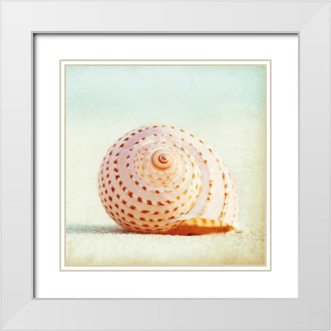 Seashell Voices White Modern Wood Framed Art Print with Double Matting by Cochrane, Carolyn