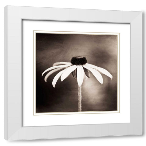 Simply Stated White Modern Wood Framed Art Print with Double Matting by Cochrane, Carolyn