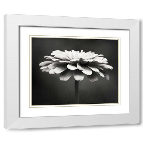 Spellbinding White Modern Wood Framed Art Print with Double Matting by Cochrane, Carolyn