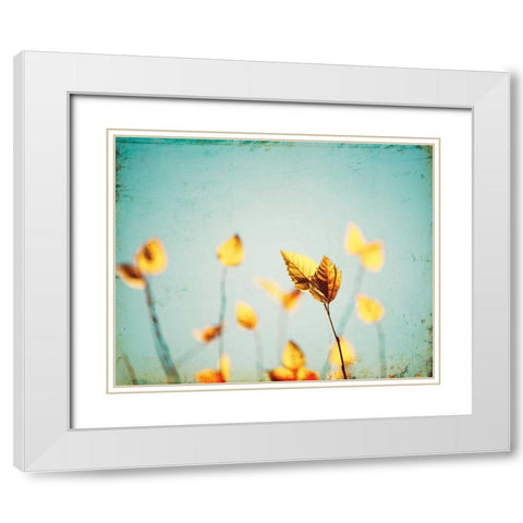 Sundance White Modern Wood Framed Art Print with Double Matting by Cochrane, Carolyn